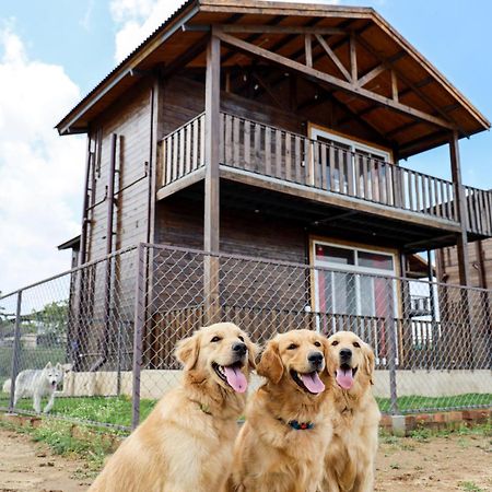 Therpup Resort Kammasandra Екстер'єр фото
